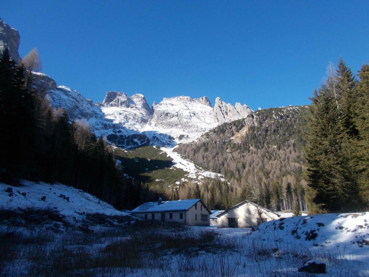 Appartement Balcone Sulle Dolomiti à Comèlico Superiore Extérieur photo