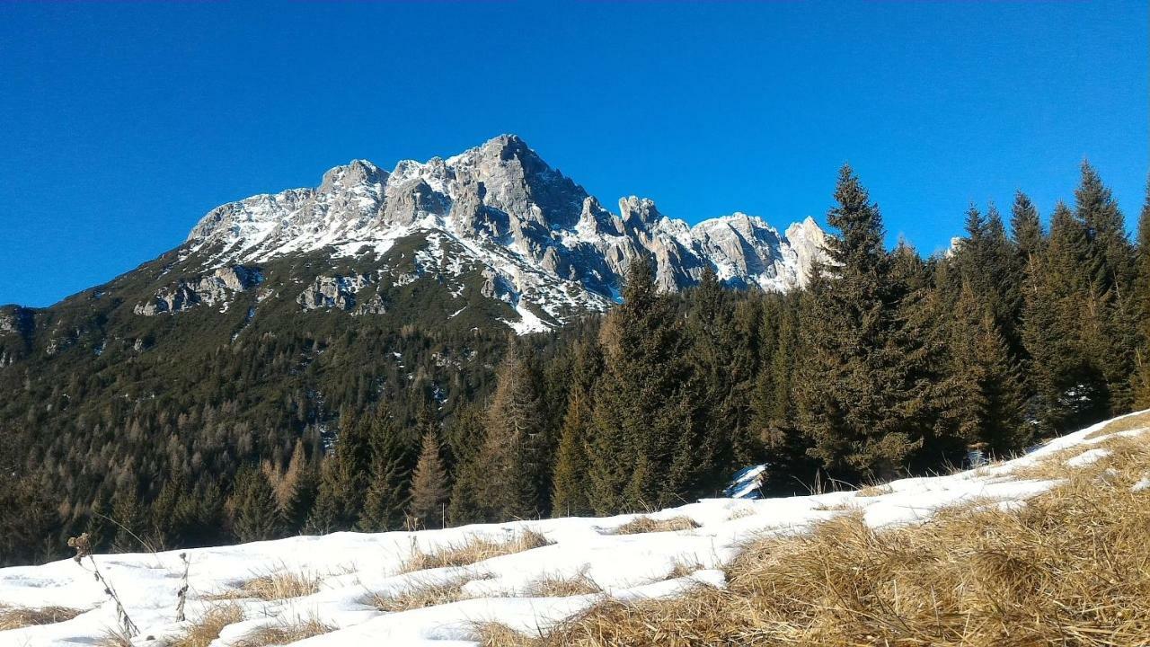 Appartement Balcone Sulle Dolomiti à Comèlico Superiore Extérieur photo